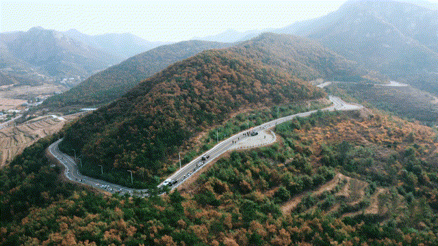 攜手前行共賞金秋 腳踏實(shí)地齊心逐夢(mèng)(圖2)